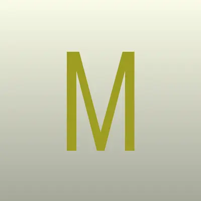 Магазин Надежных Страховок, лого-визитка