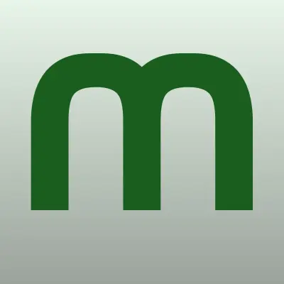 МегаФон, сеть салонов связи, лого-визитка